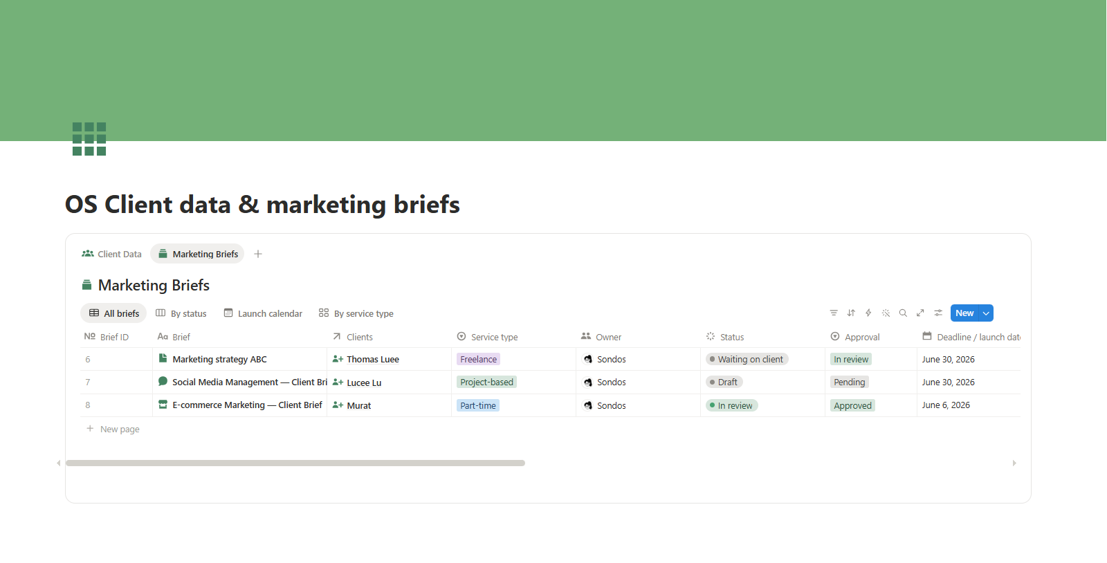 screencapture-app-notion-p-OS-Client-data-marketing-briefs-37b9b7cf96a780ea9c4fd512ca12b04f-2026-06-15-11_13_59-1